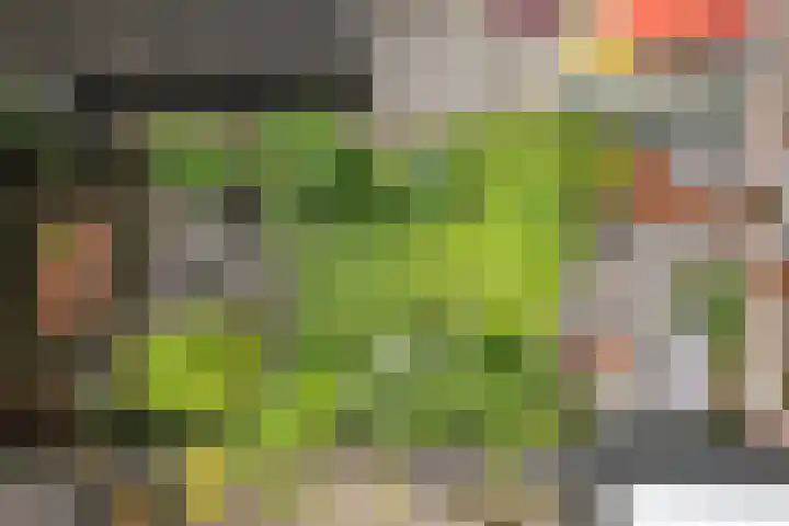 Nijstukken 132 Assen thumbnail 58
