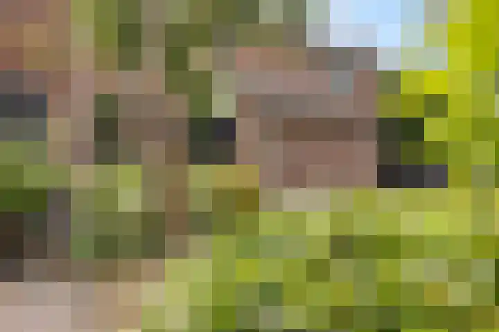 Nijstukken 132 Assen thumbnail 6