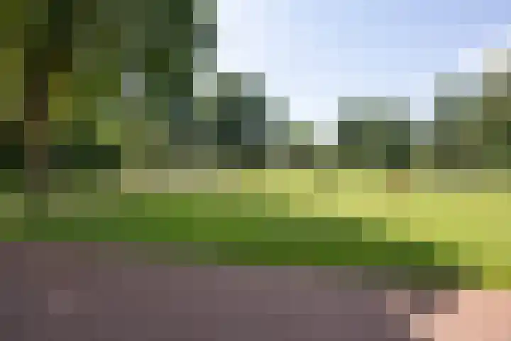 Nijstukken 132 Assen thumbnail 62