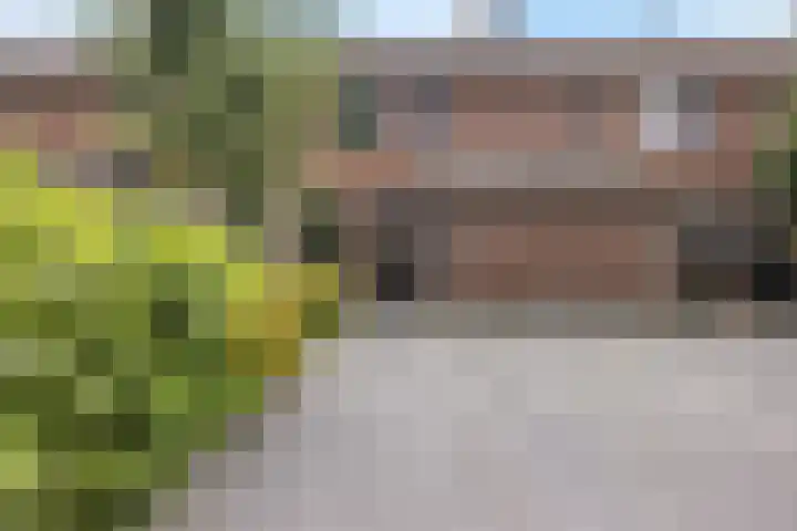 Nijstukken 132 Assen thumbnail 66
