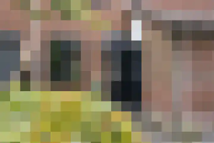 Nijstukken 132 Assen thumbnail 7