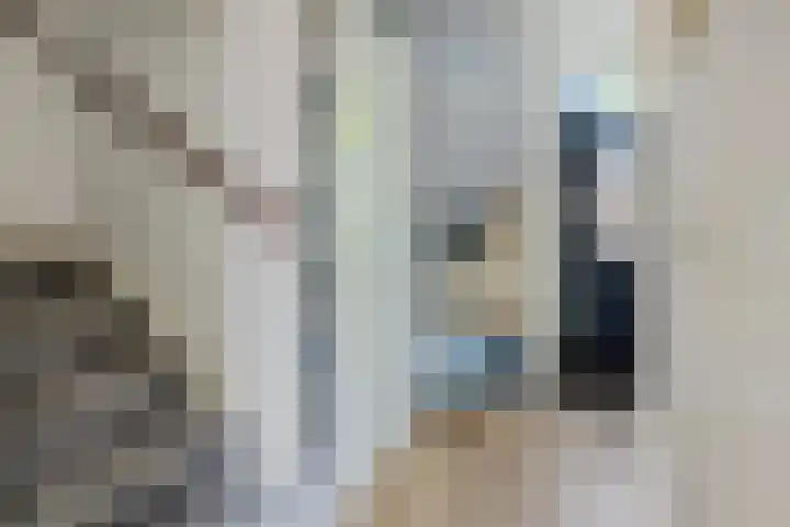 Nijstukken 132 Assen thumbnail 8