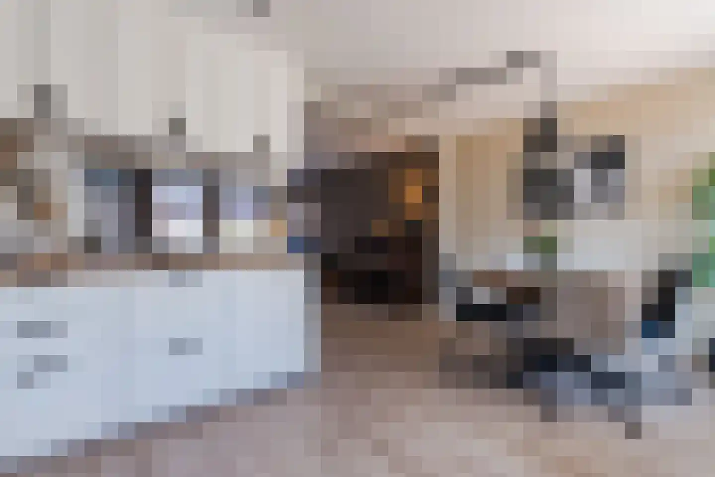 Nijstukken 37 Assen thumbnail 20