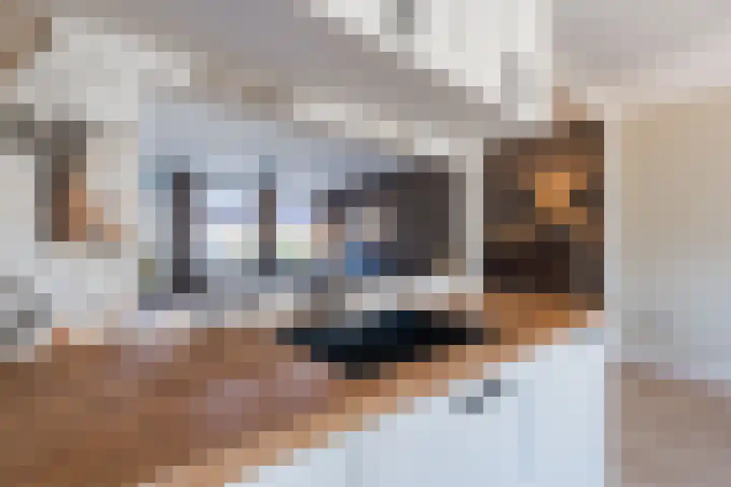 Nijstukken 37 Assen thumbnail 21