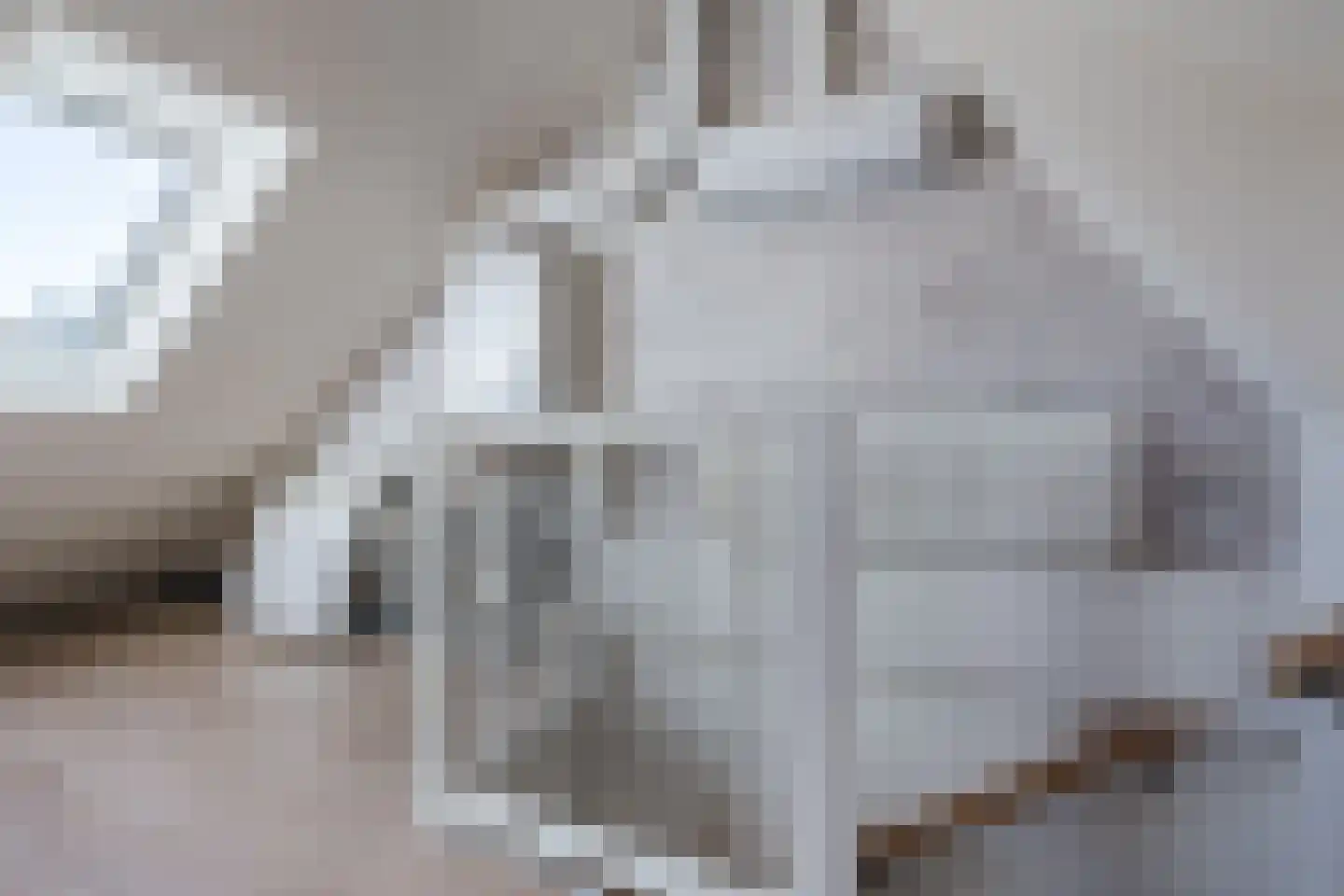 Nijstukken 37 Assen thumbnail 38