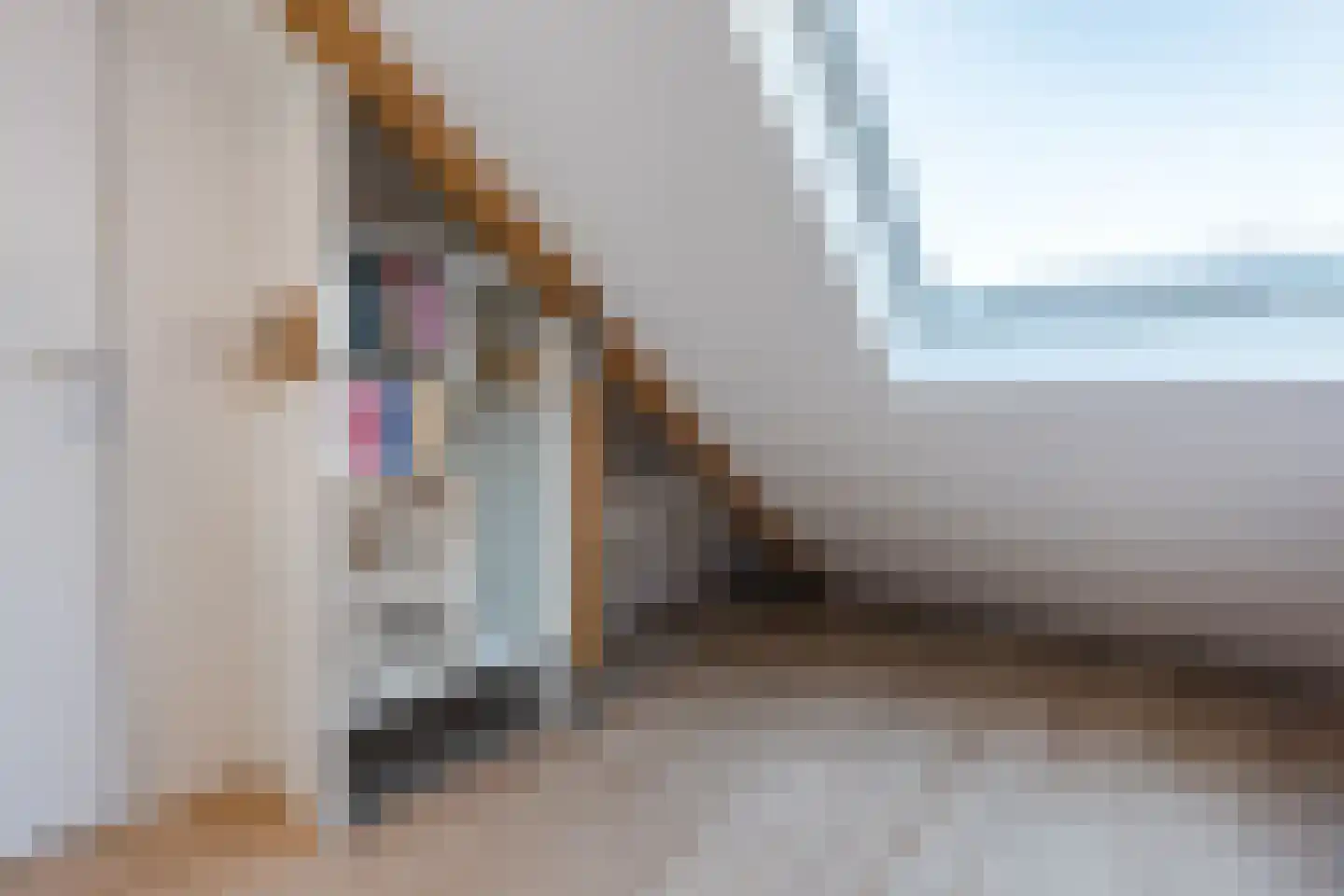 Nijstukken 37 Assen thumbnail 42