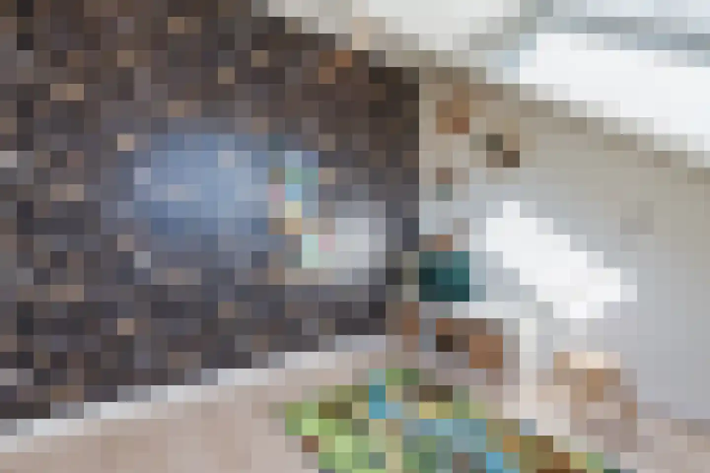 Nijstukken 37 Assen thumbnail 44