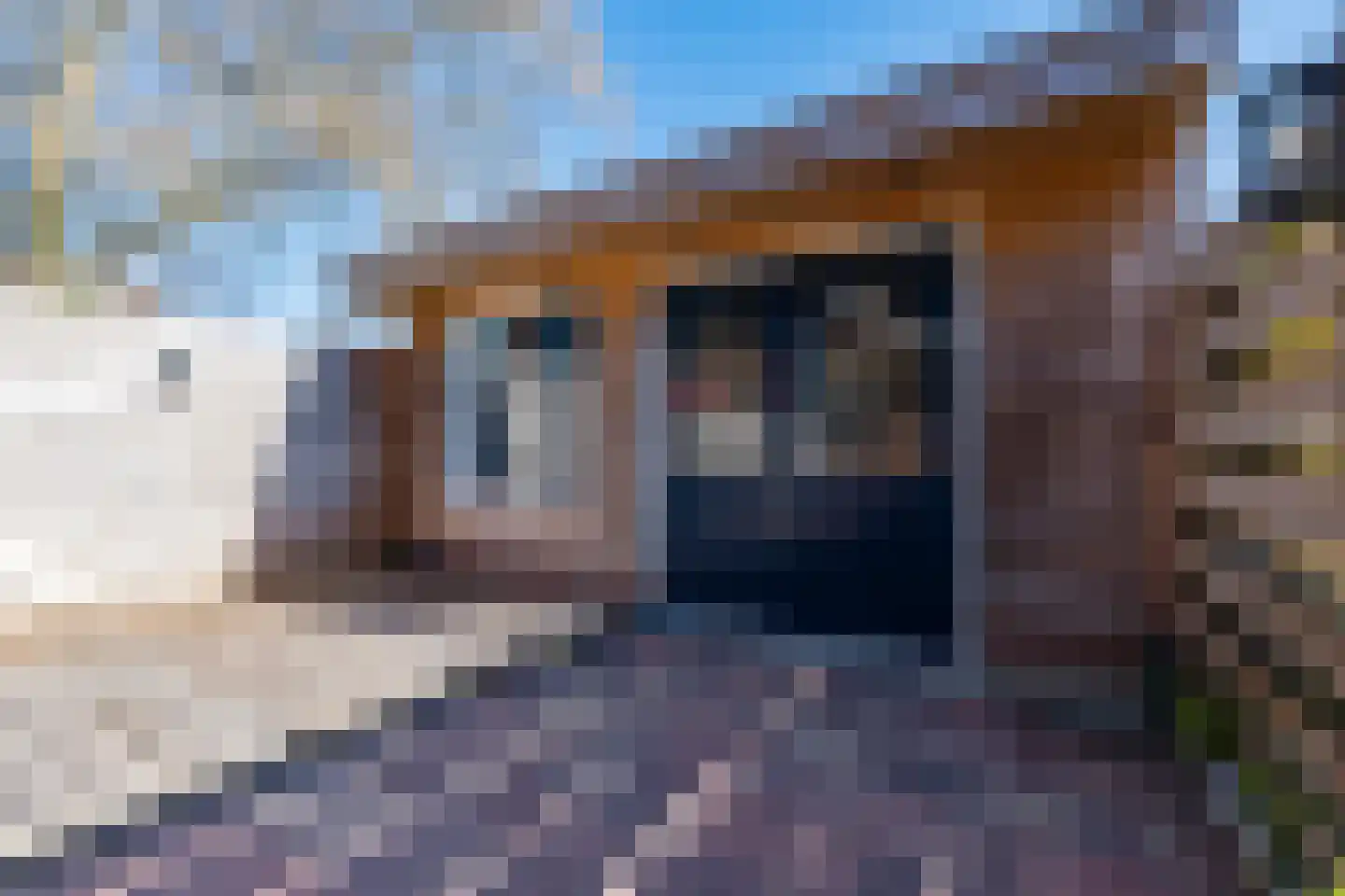 Nijstukken 37 Assen thumbnail 48