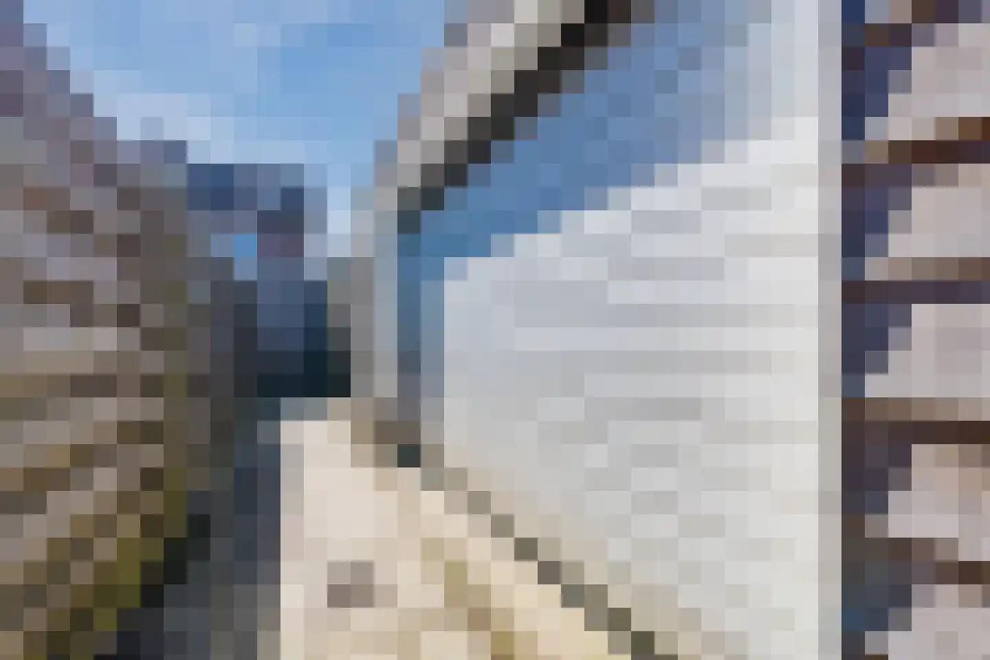 Nijstukken 37 Assen thumbnail 55
