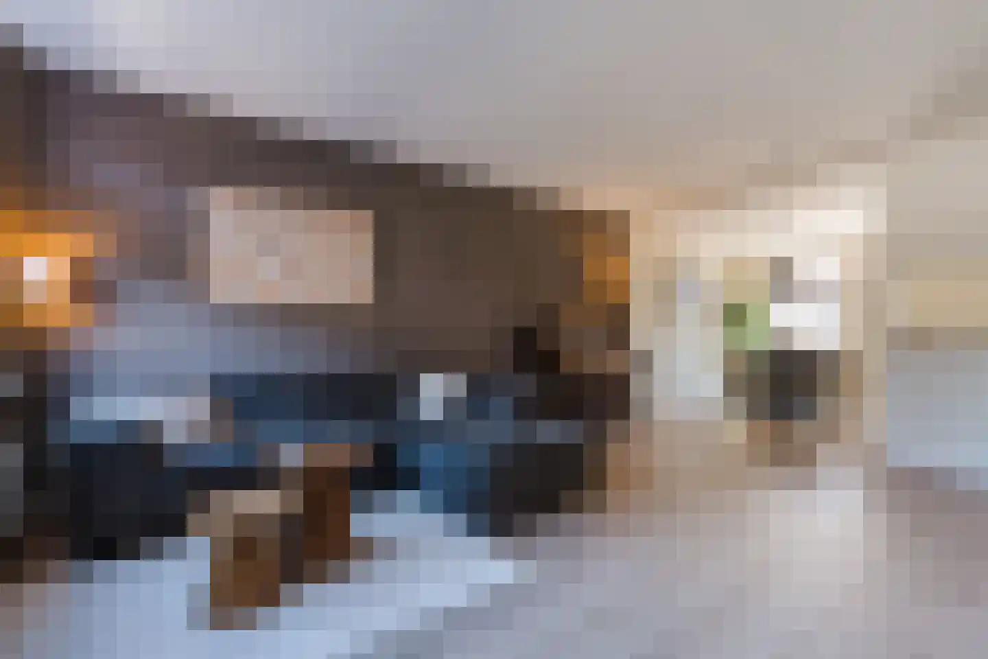 Nijstukken 37 Assen thumbnail 9