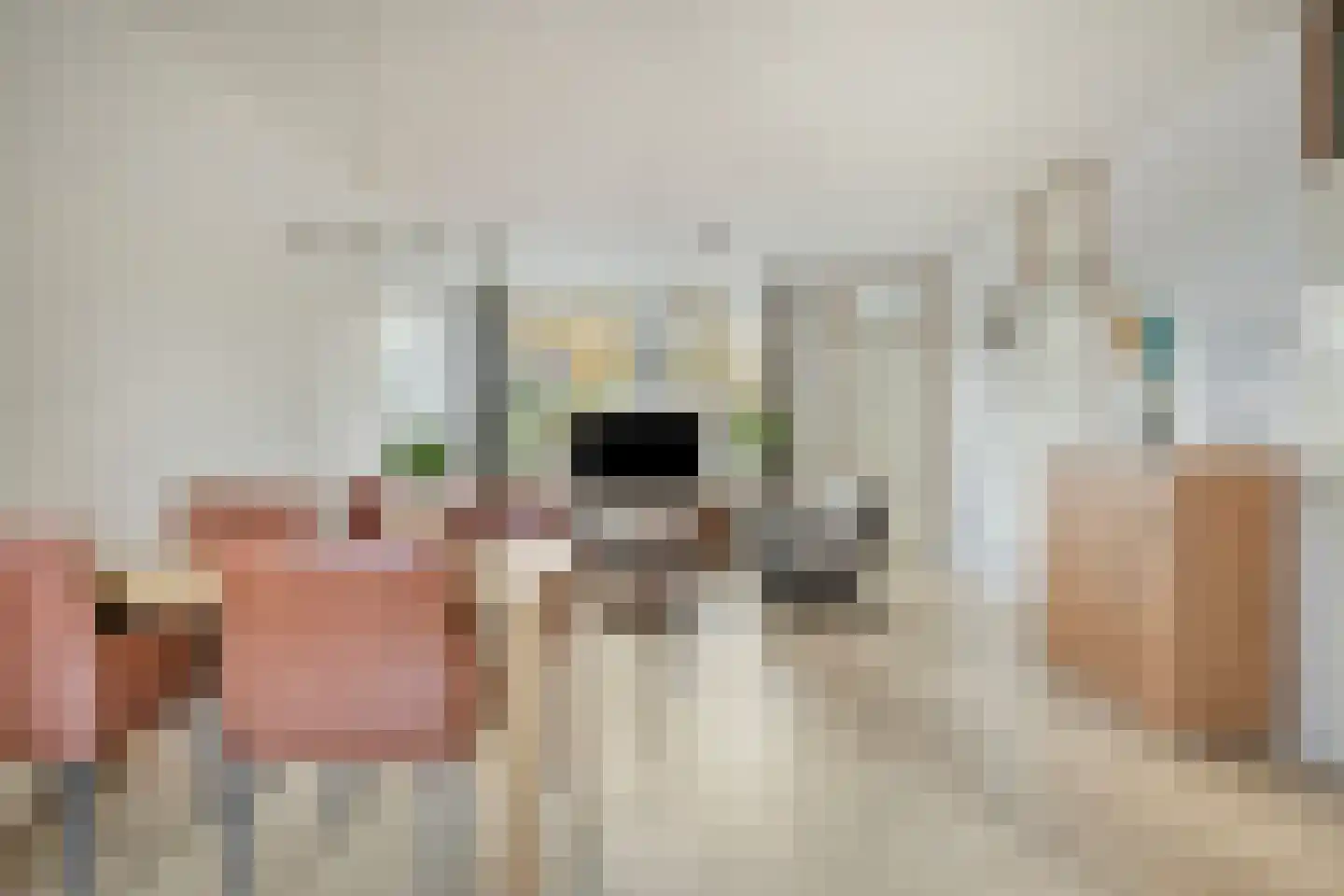 Nijstukken 6 Assen thumbnail 15