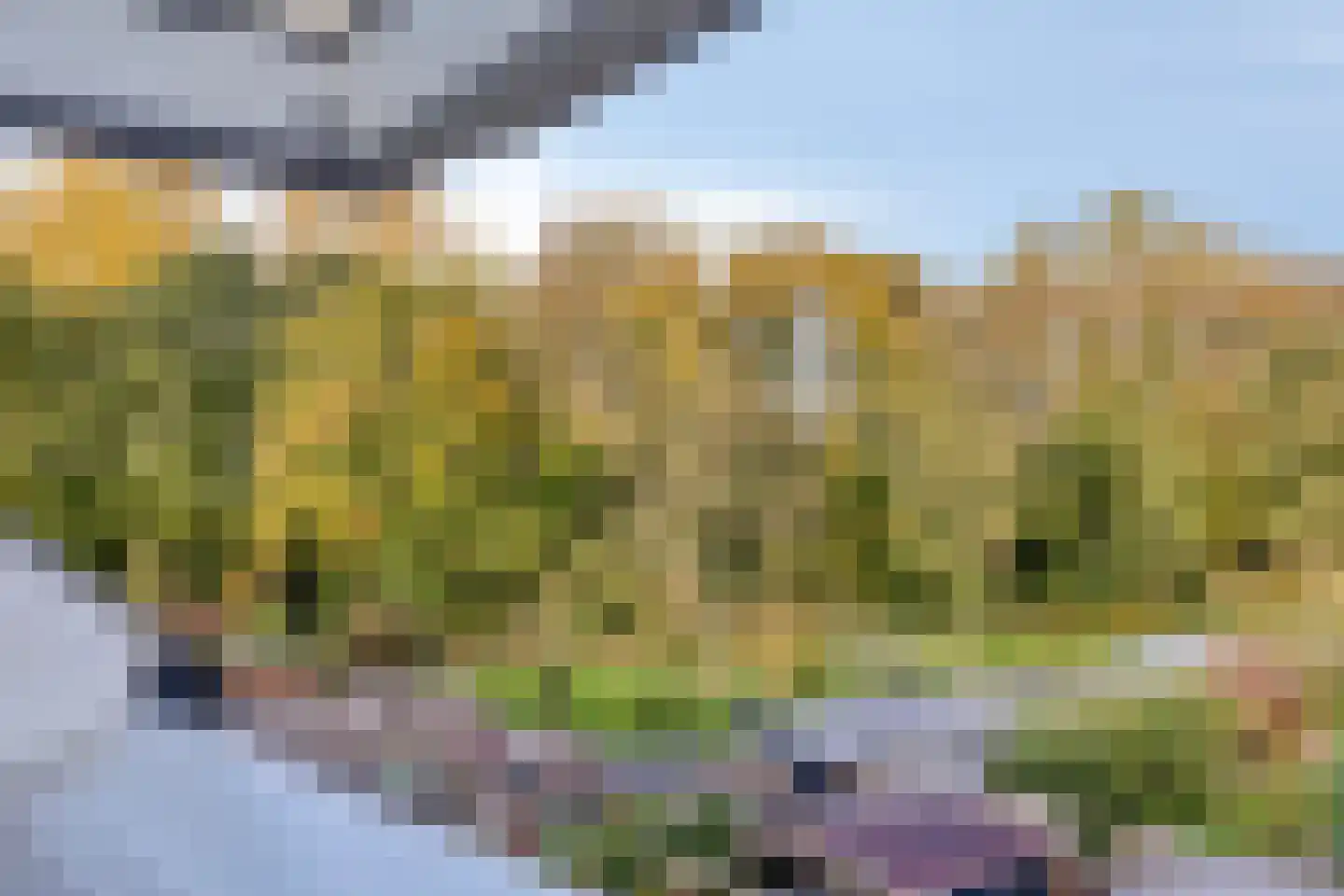 Nijstukken 6 Assen thumbnail 28