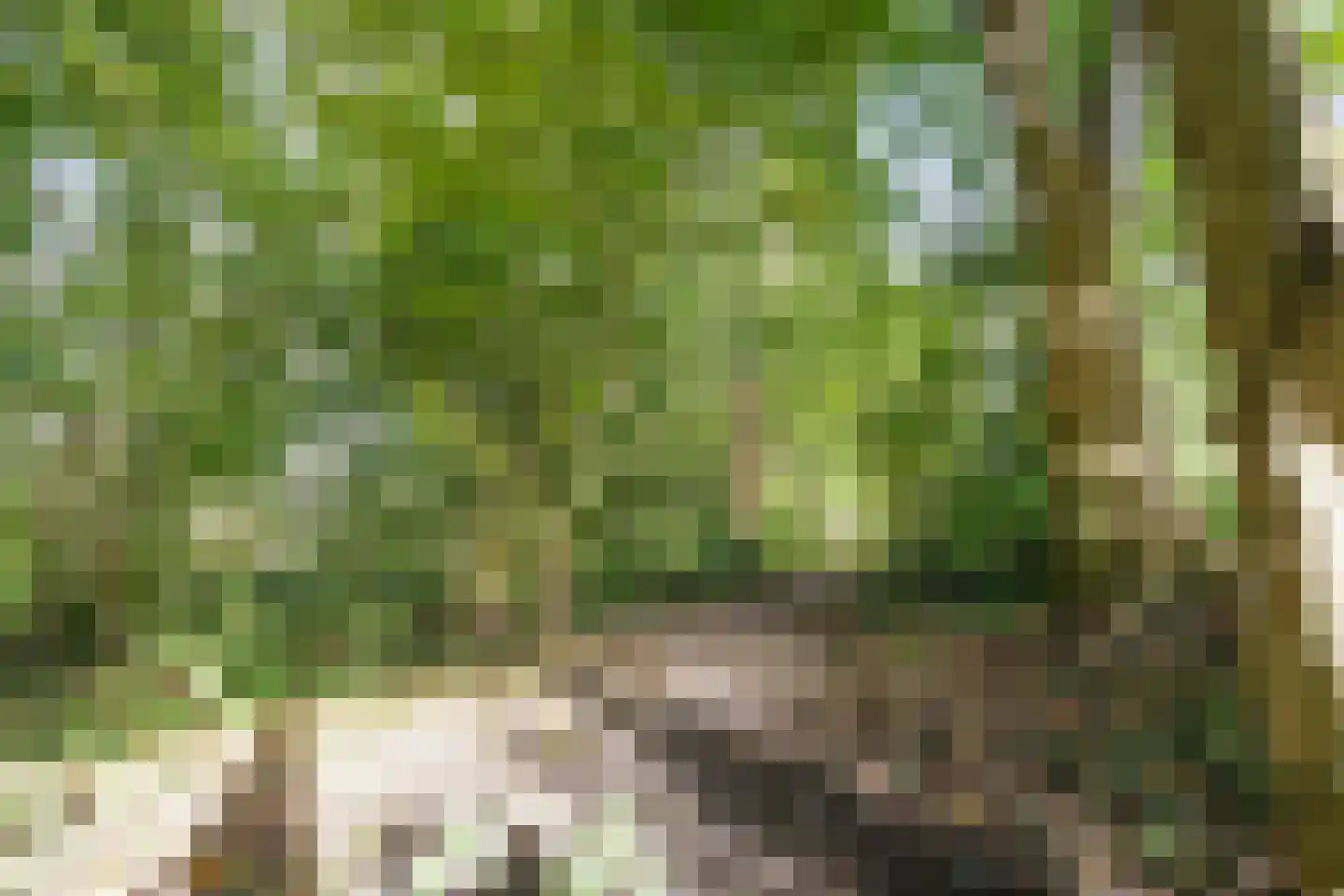 Nijstukken 6 Assen thumbnail 34