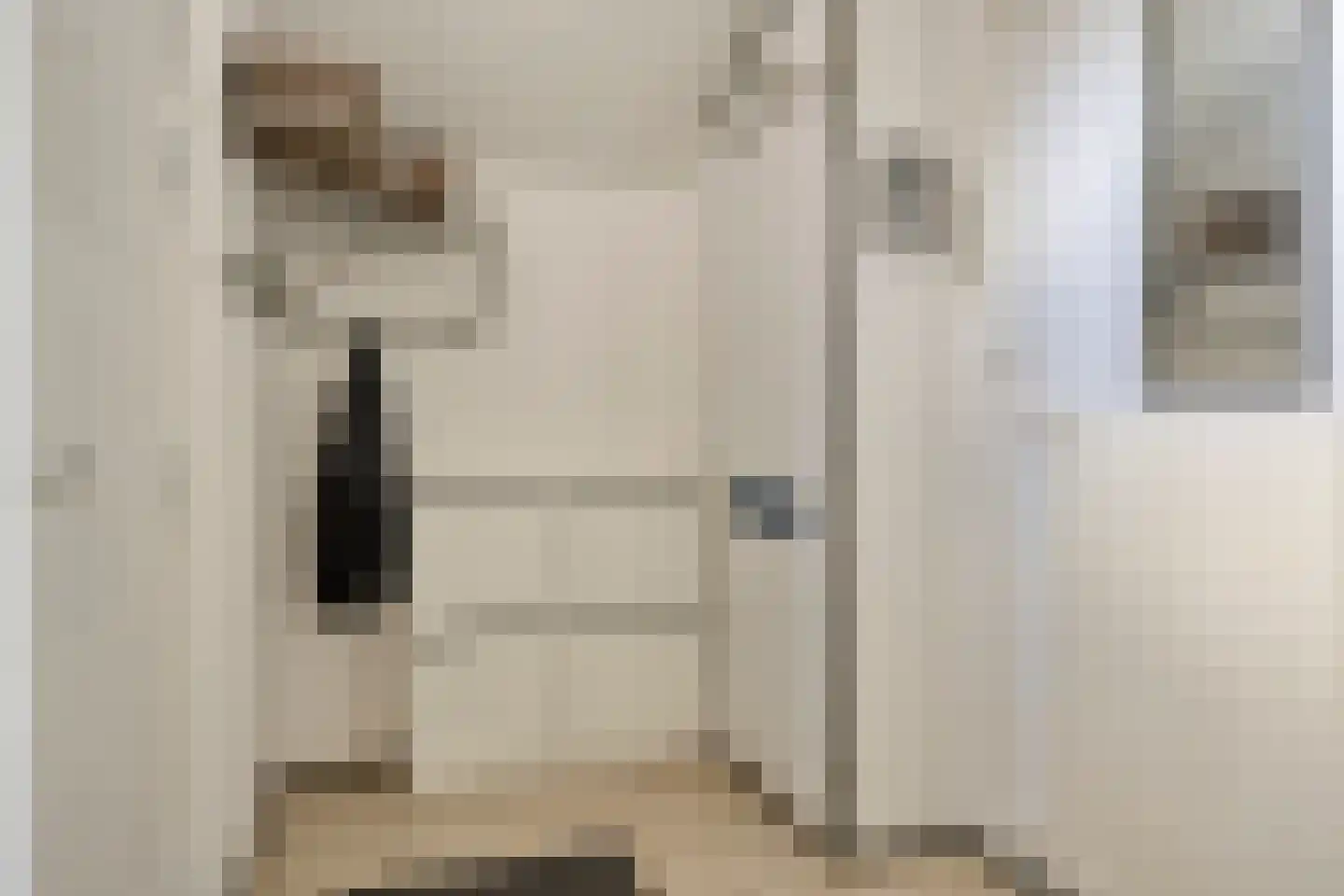 Nijstukken 6 Assen thumbnail 5