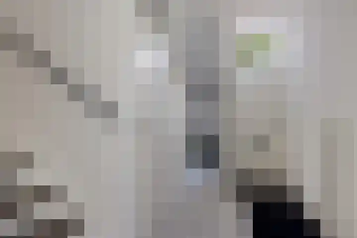 Nijstukken 9 Assen thumbnail 12