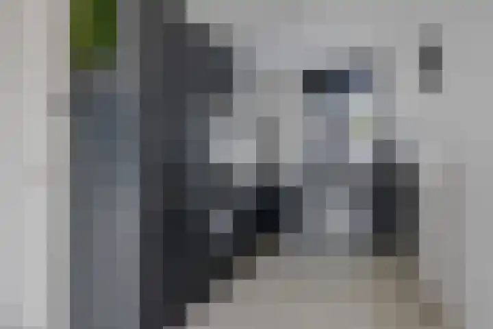 Nijstukken 9 Assen thumbnail 18