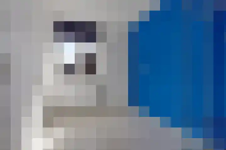 Nijstukken 9 Assen thumbnail 24