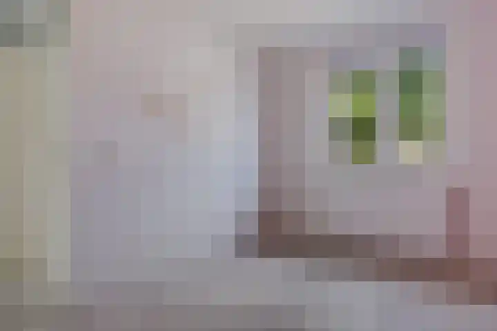 Nijstukken 9 Assen thumbnail 30