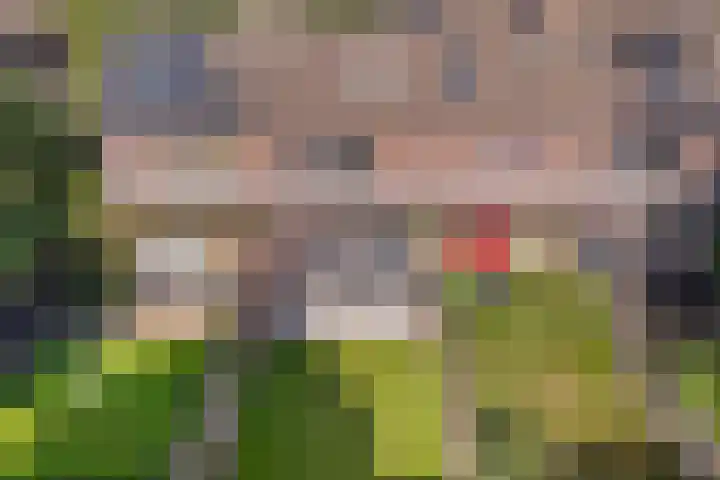 Nijstukken 9 Assen thumbnail 43