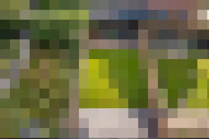 Nijstukken 9 Assen thumbnail 49