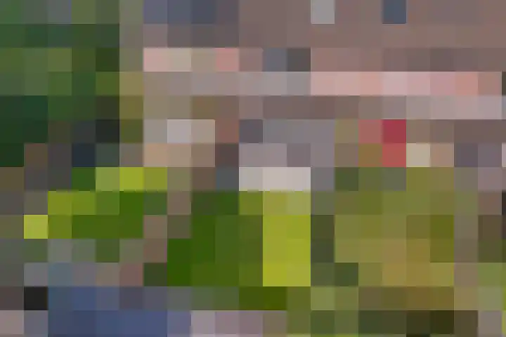 Nijstukken 9 Assen thumbnail 50
