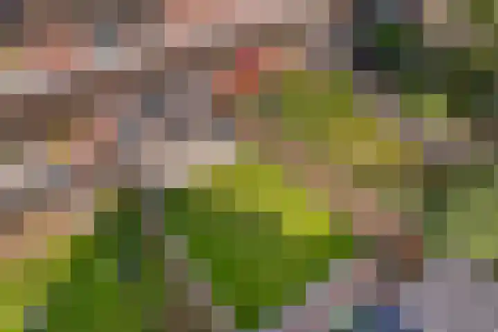 Nijstukken 9 Assen thumbnail 51