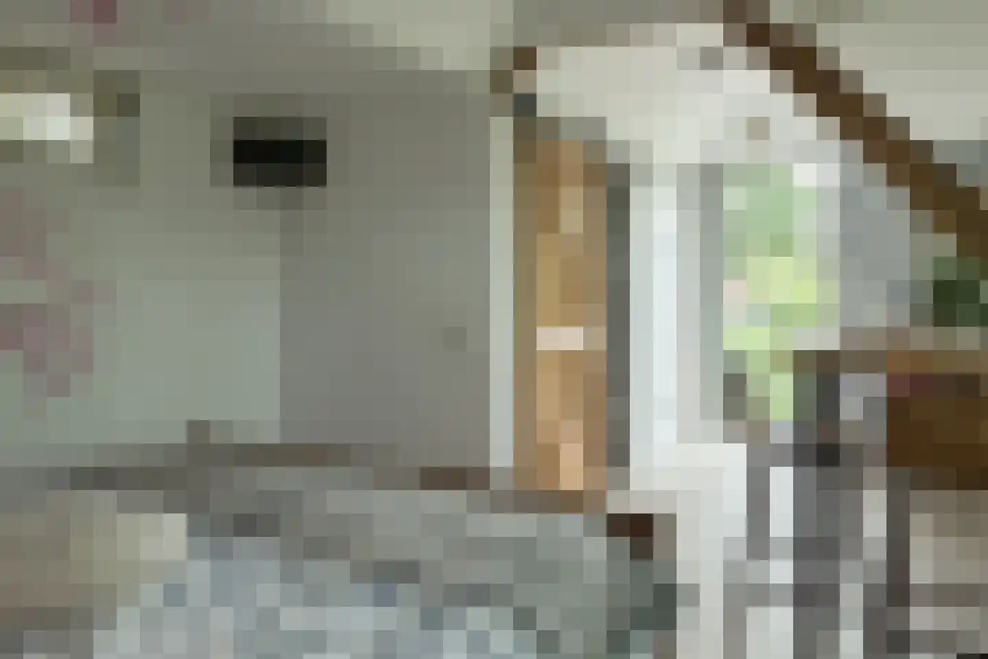 Nijtap 67 Drachten thumbnail 33