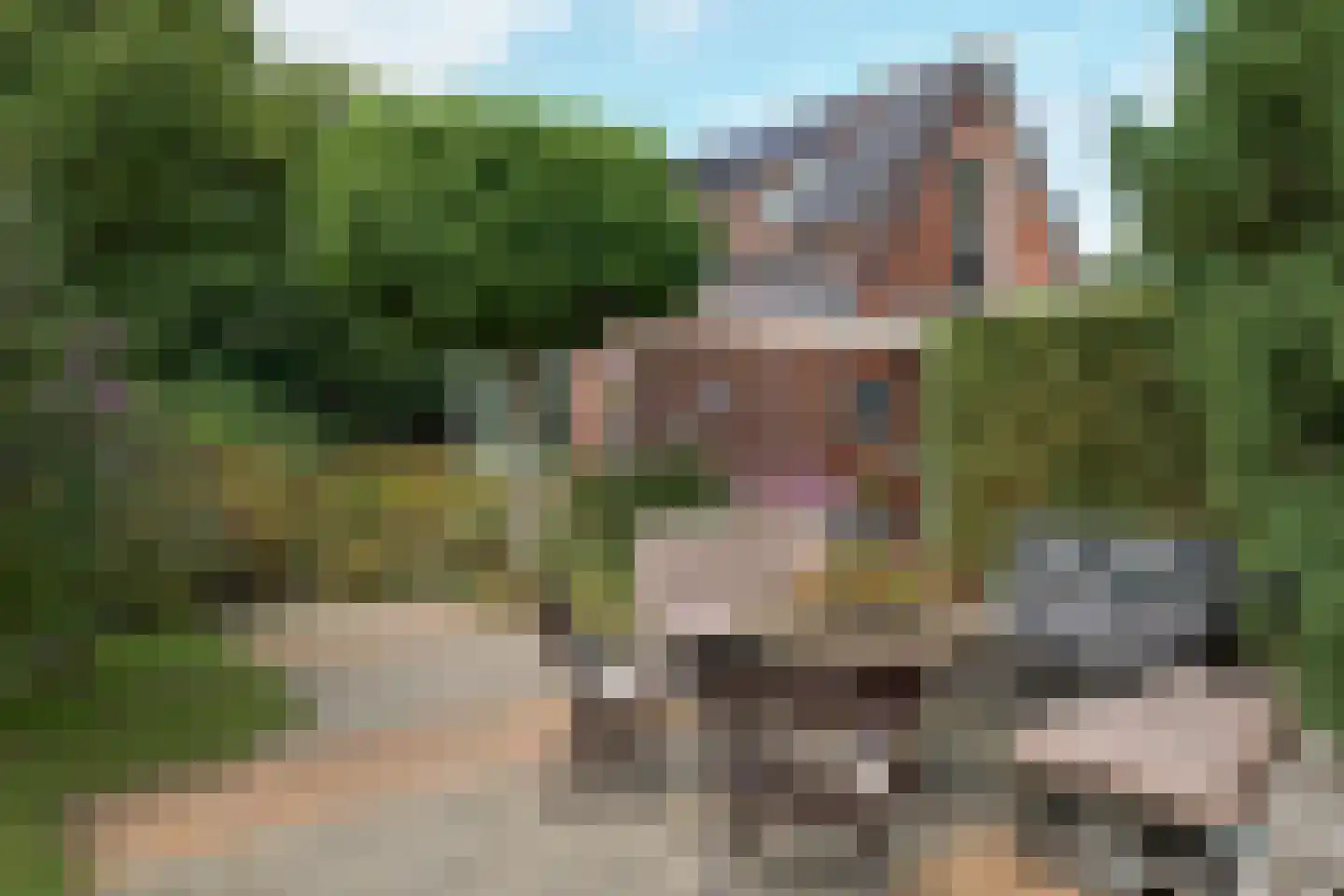 Nijtap 67 Drachten thumbnail 54