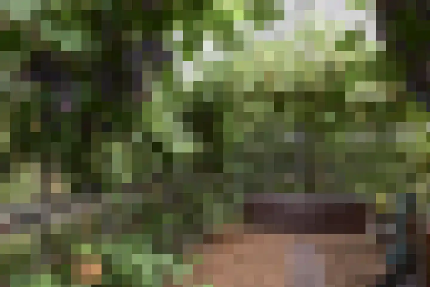 Nijtap 67 Drachten thumbnail 59