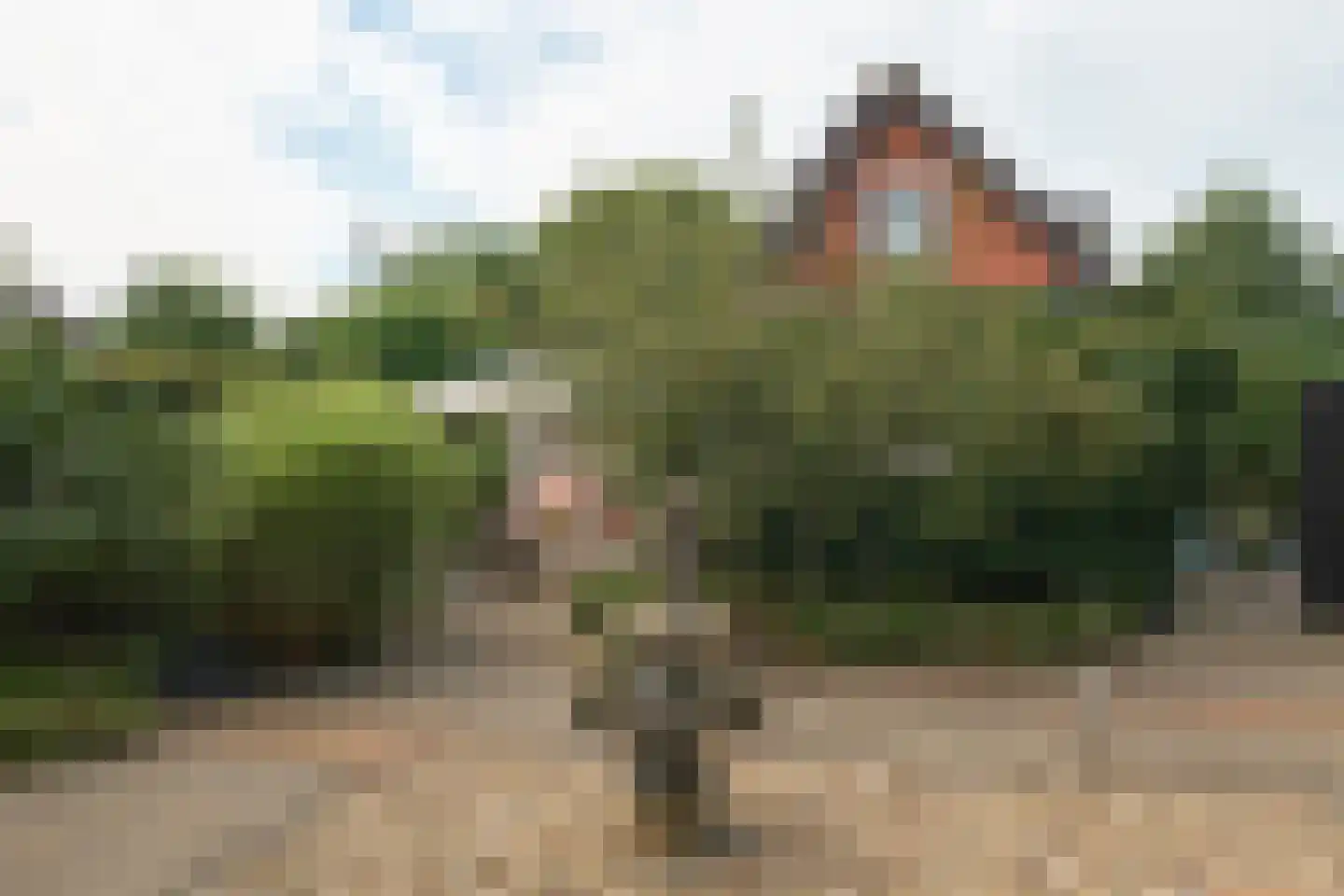 Nijtap 67 Drachten thumbnail 60