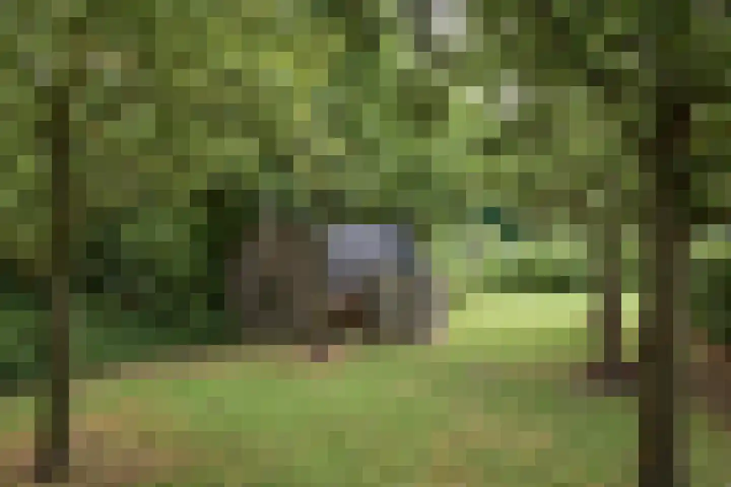 Nijtap 67 Drachten thumbnail 63