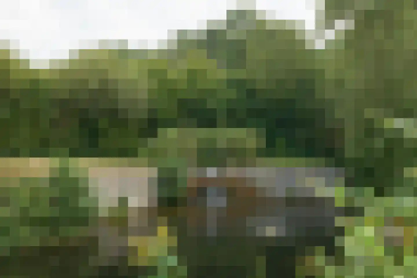 Nijtap 67 Drachten thumbnail 64