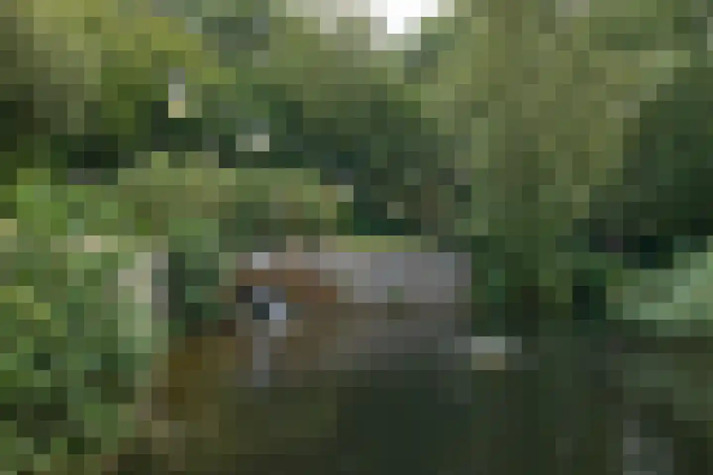 Nijtap 67 Drachten thumbnail 65