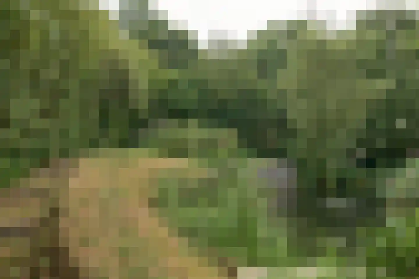 Nijtap 67 Drachten thumbnail 66