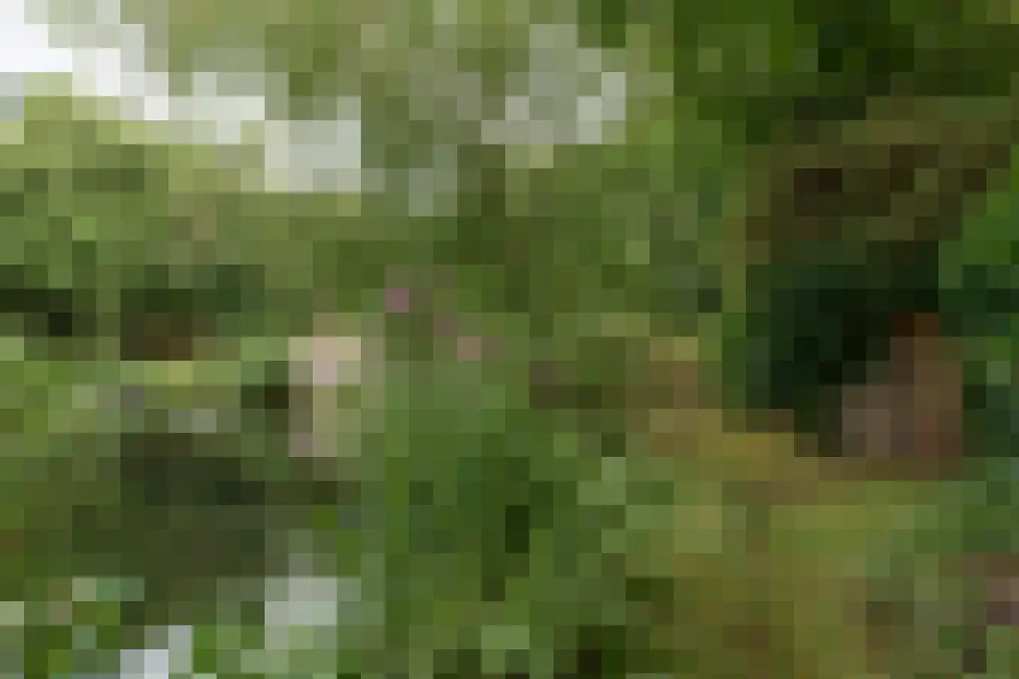 Nijtap 67 Drachten thumbnail 68