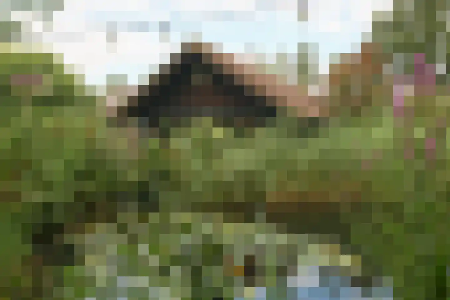 Nijtap 67 Drachten thumbnail 69