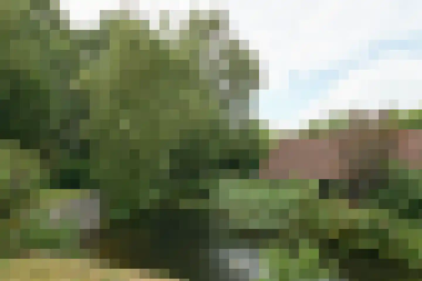 Nijtap 67 Drachten thumbnail 72