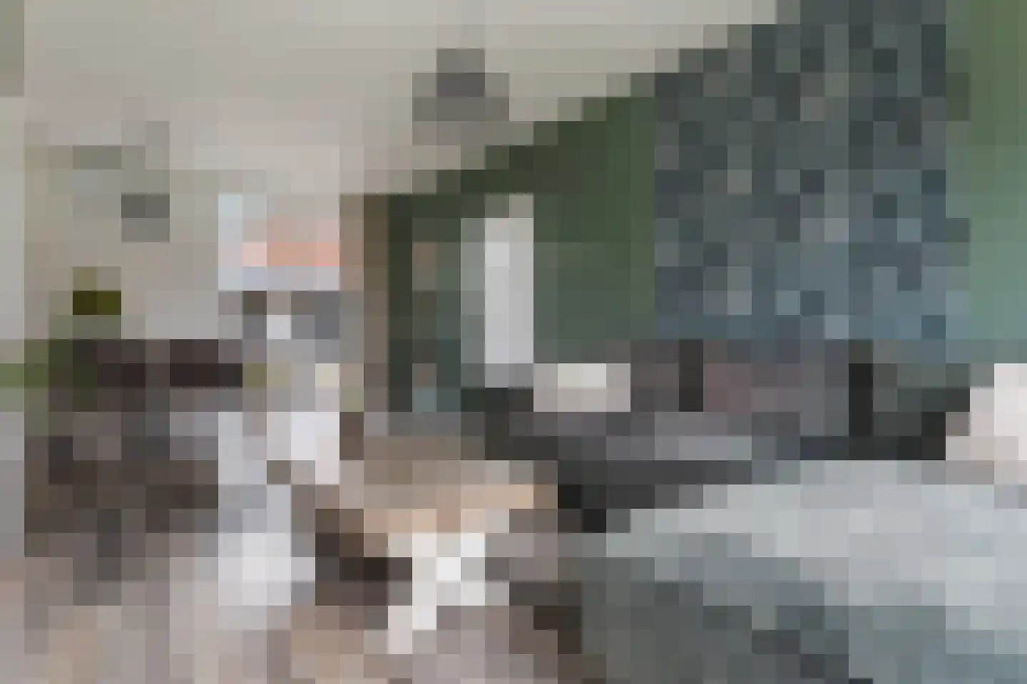 Nijveenlaan 10 Wildervank thumbnail 10