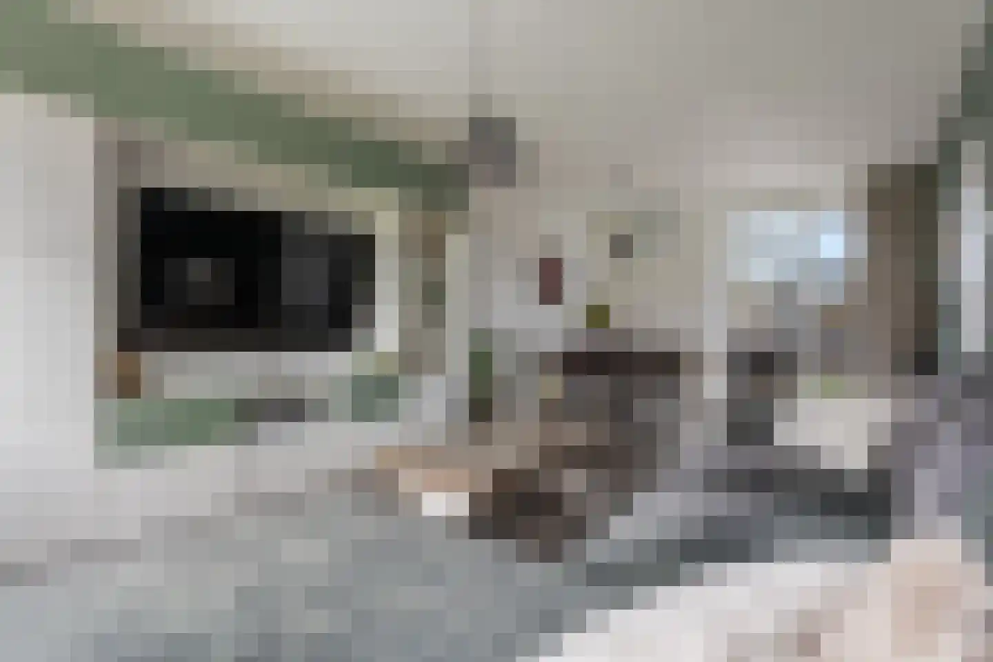 Nijveenlaan 10 Wildervank thumbnail 11
