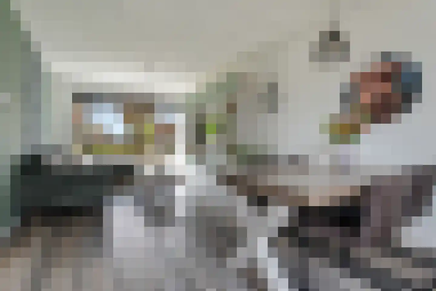 Nijveenlaan 10 Wildervank thumbnail 12