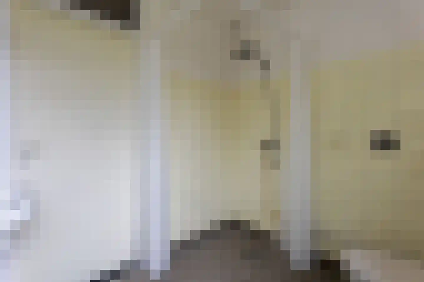 Nijveenlaan 10 Wildervank thumbnail 31