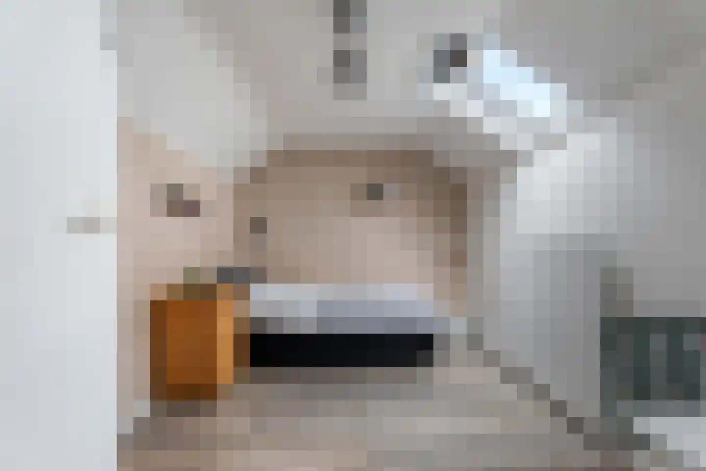 Nijveenlaan 10 Wildervank thumbnail 33