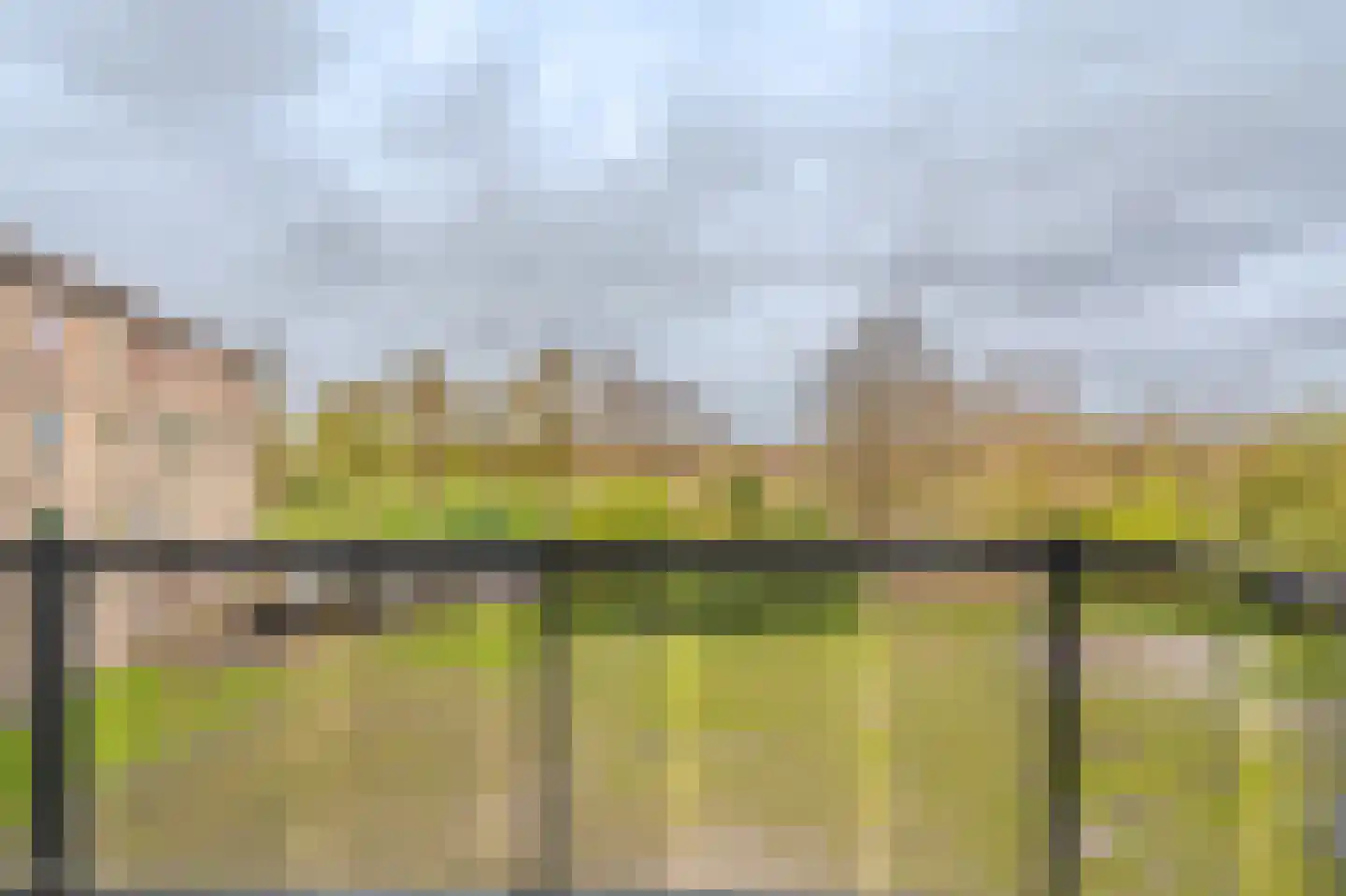 Nijveenlaan 43 Wildervank thumbnail 35