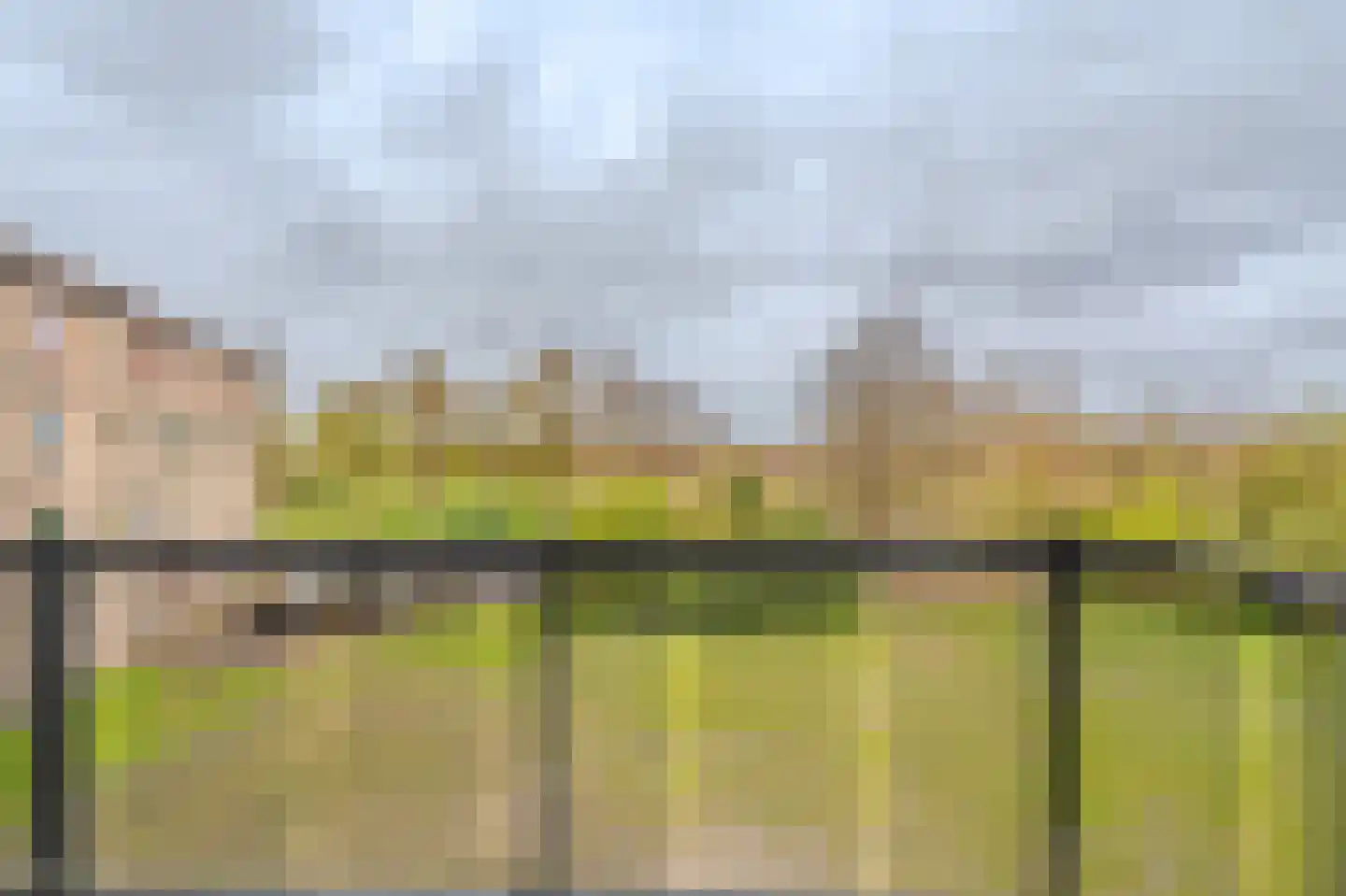 Nijveenlaan 43 Wildervank thumbnail 37