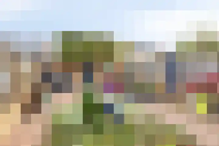 Nijvelstraat 19 Prinsenbeek thumbnail 4