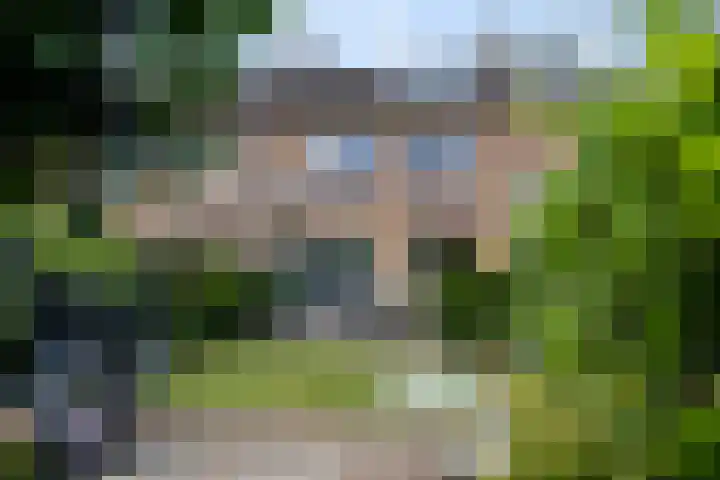 Nijvelstraat 5 Prinsenbeek thumbnail 23
