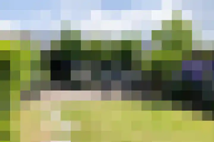 Nijvelstraat 5 Prinsenbeek thumbnail 25