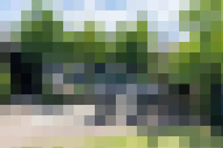 Nijvelstraat 5 Prinsenbeek thumbnail 26