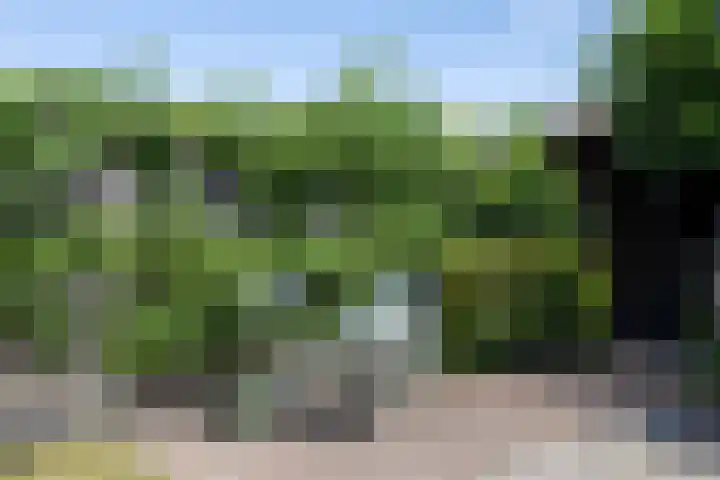 Nijvelstraat 5 Prinsenbeek thumbnail 27