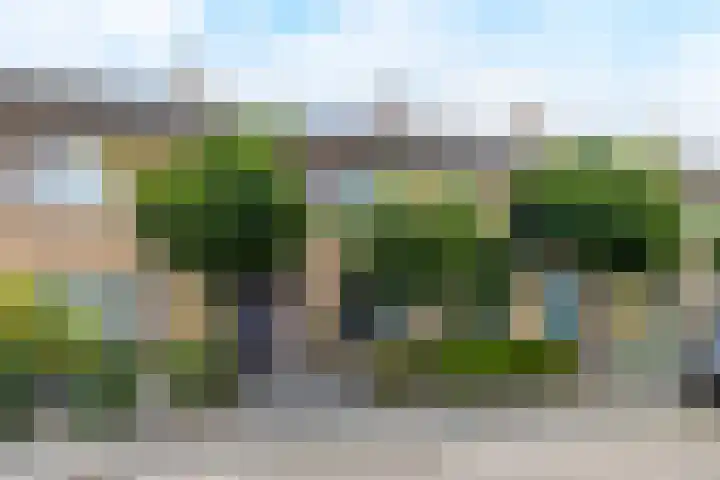 Nijvelstraat 5 Prinsenbeek thumbnail 28